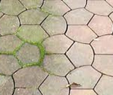 pagina foto terras clean bredene
